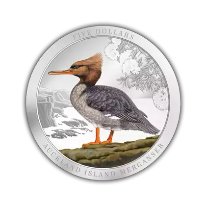 New Zealand: Auckland Island Merganser coloured 2 oz Silver 2021