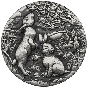 files/eng_pm_Perth-Mint-Lunar-III-Year-of-the-Rabbit-2-oz-Silver-2023-Antiqued-Coin-7403_1.jpg