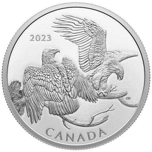 Canada: The Striking Bald Eagle $30 Silver 2023 Proof