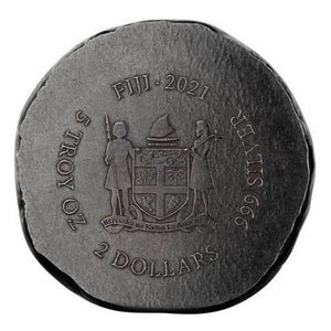files/pol_pm_Fiji-Terracotta-Warriors-5-uncji-Srebra-2021-Antique-Coin-6427_3.jpg